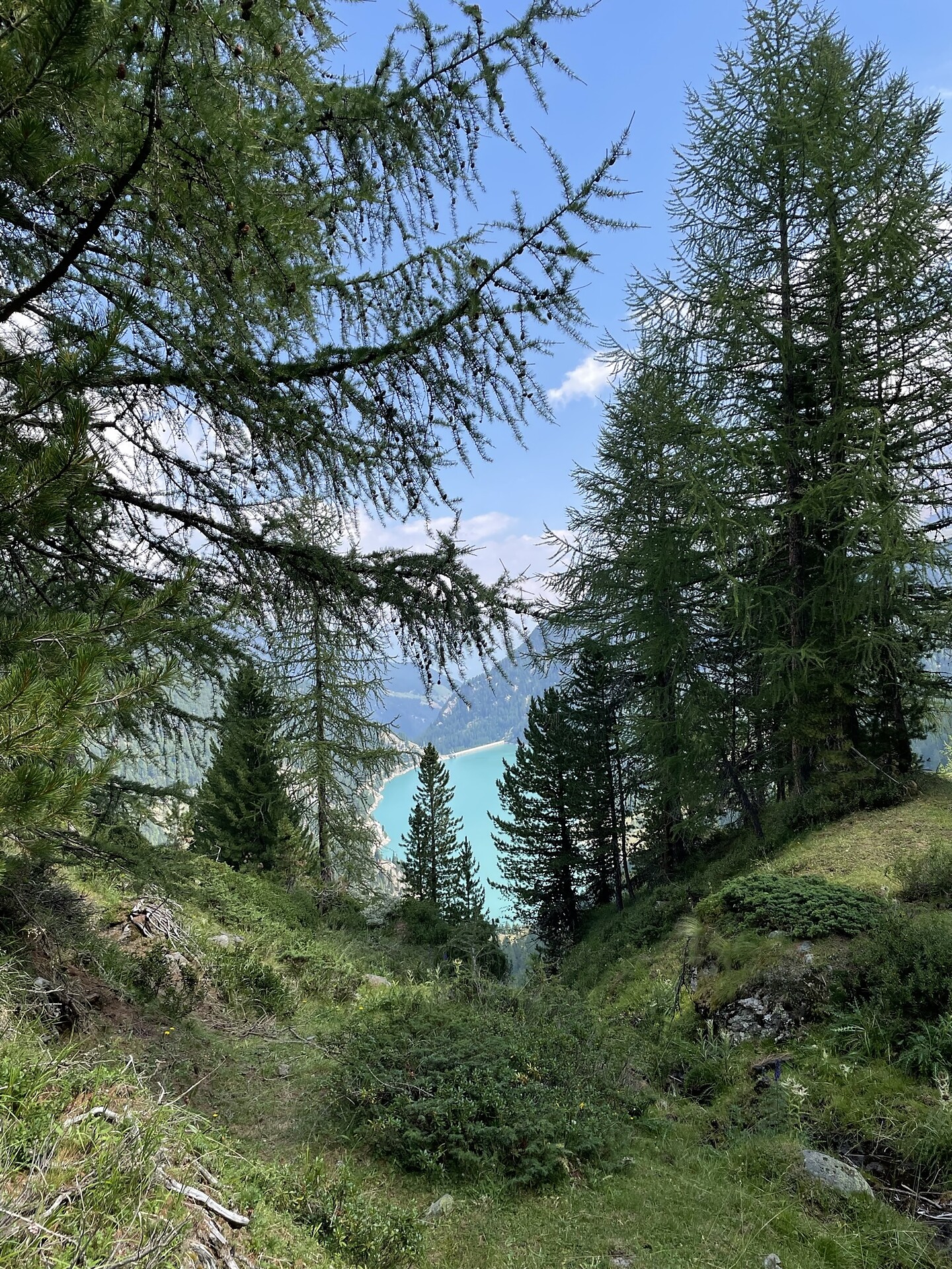 Lärchenweg Stilfs 1 suedtirol.info