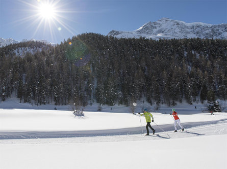 High-Altitude Cross-Country Skiing Trail in Solda/Sulden Stilfs/Stelvio 2 suedtirol.info