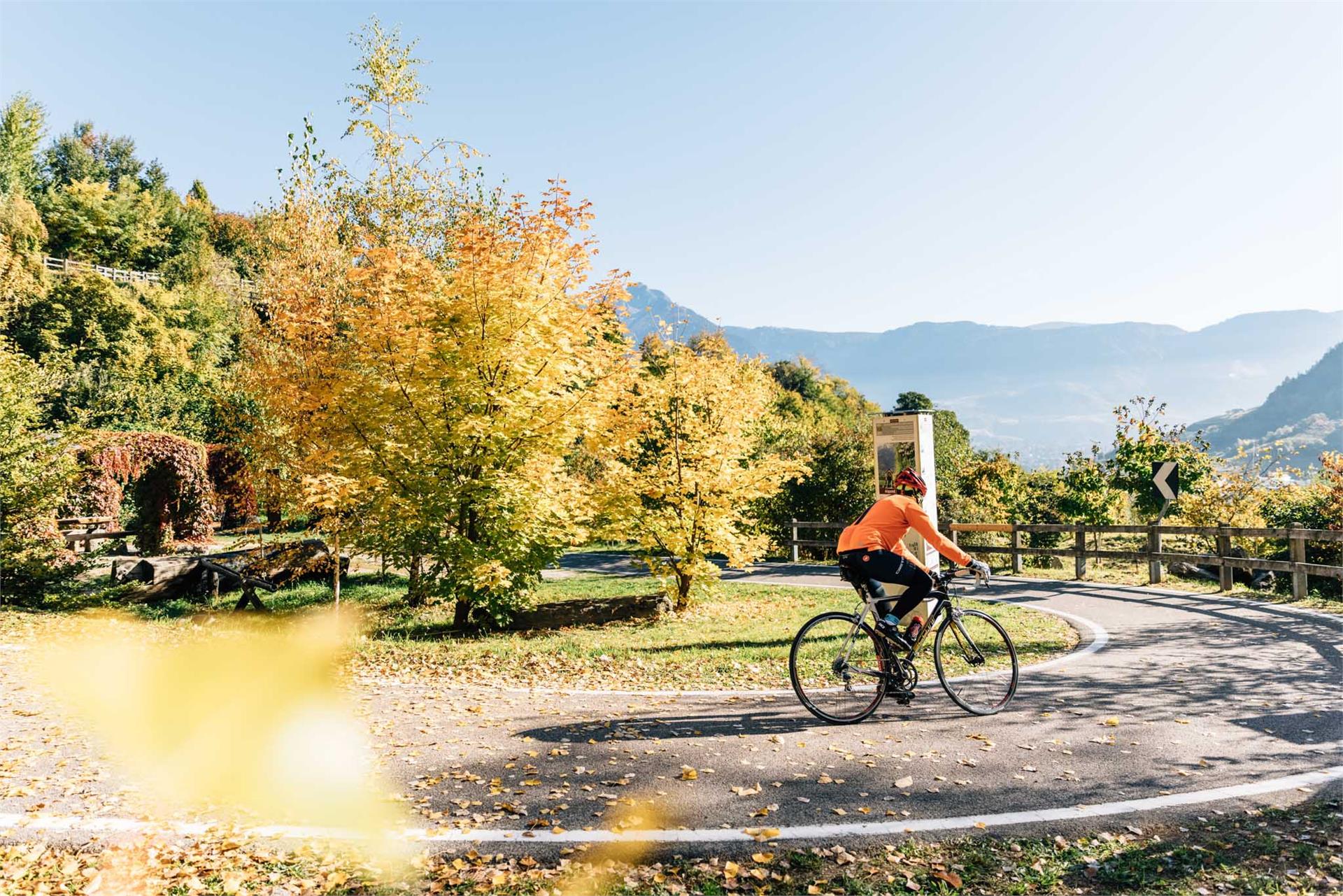 Easy descent Aschbach/Rio Lagundo – Mohlboch trail Algund/Lagundo 3 suedtirol.info