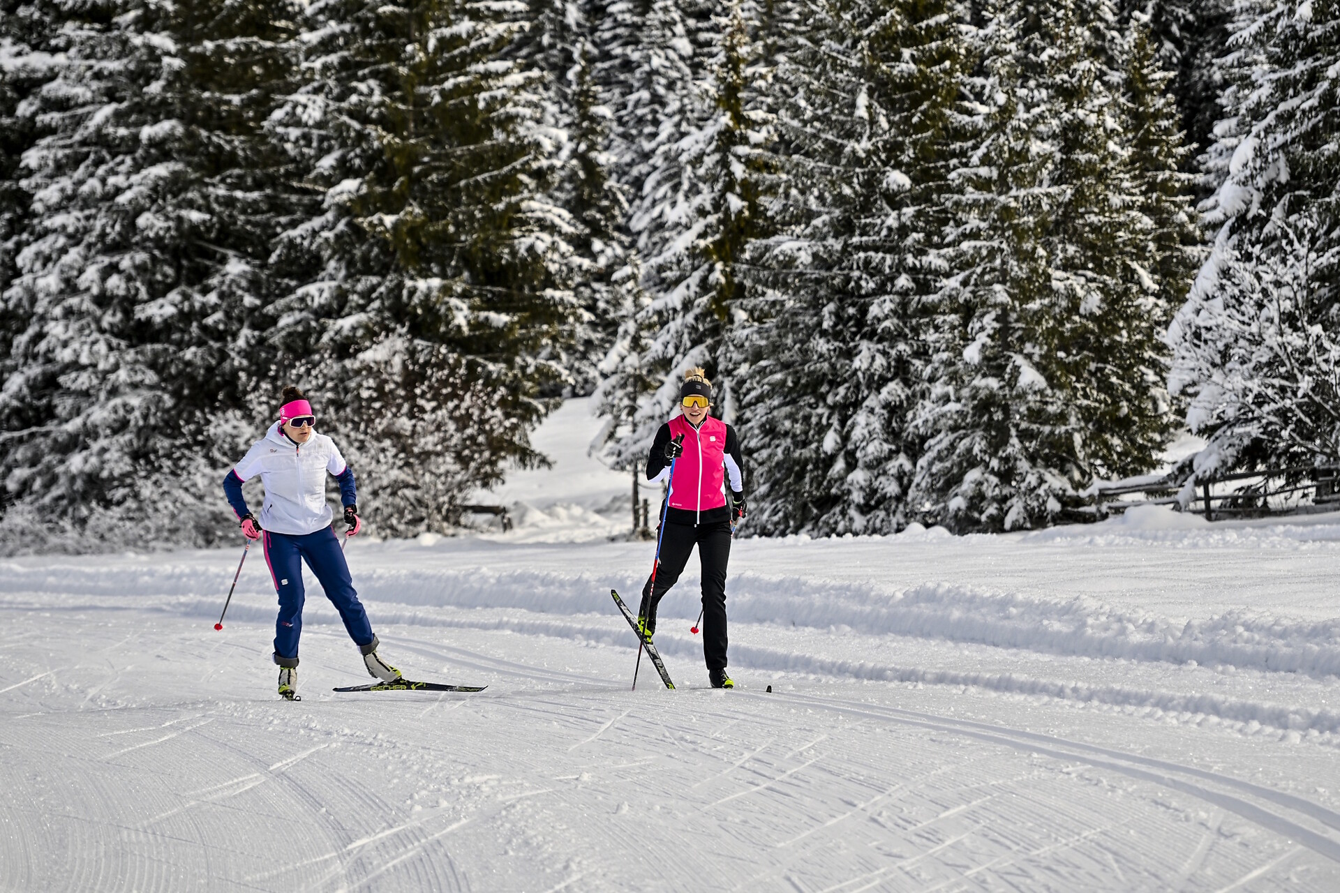 La Buja - Regione dolomitica Val Gardena - #9 - suedtirol.info