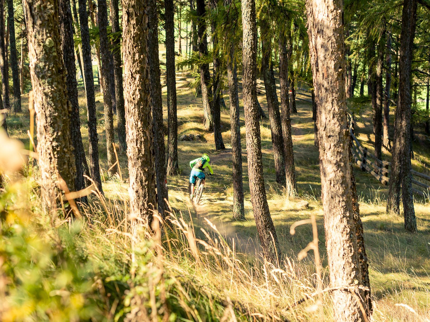 Lupo Trail Castelbello-Ciardes 1 suedtirol.info
