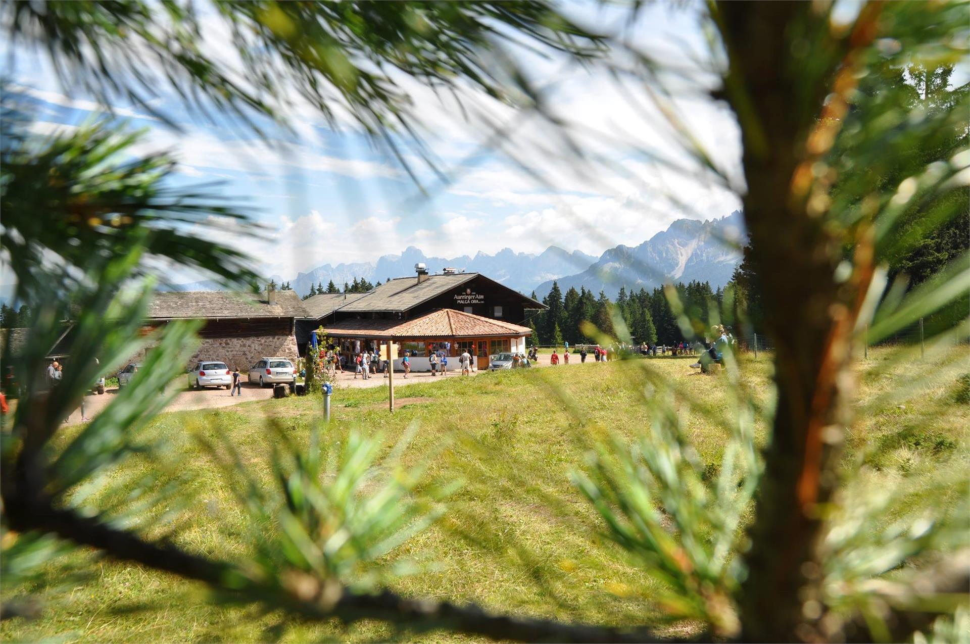Lavazè - Oclini (Anello) Nova Ponente 2 suedtirol.info