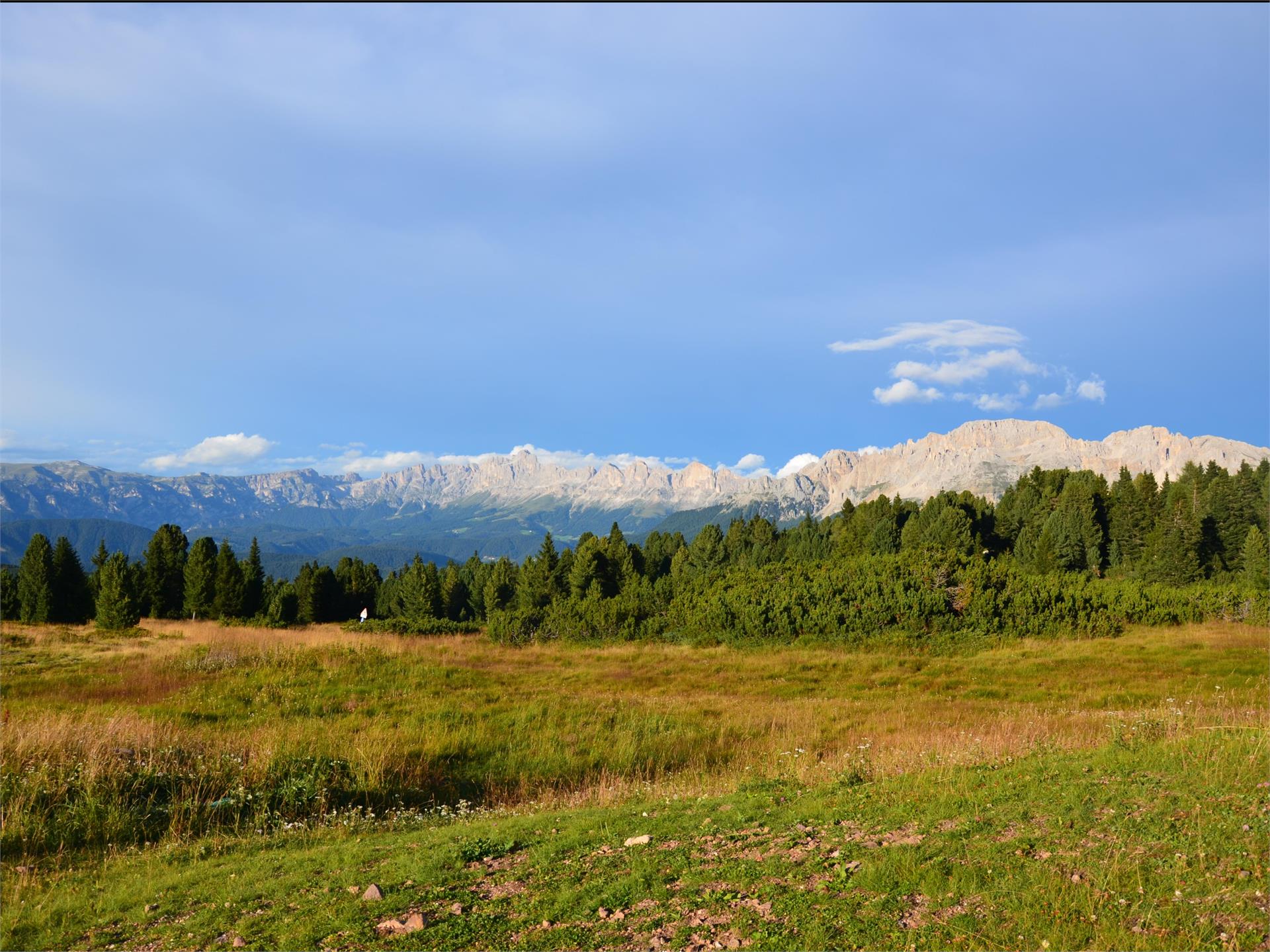 Lavazè - Oclini (Anello) Nova Ponente 3 suedtirol.info