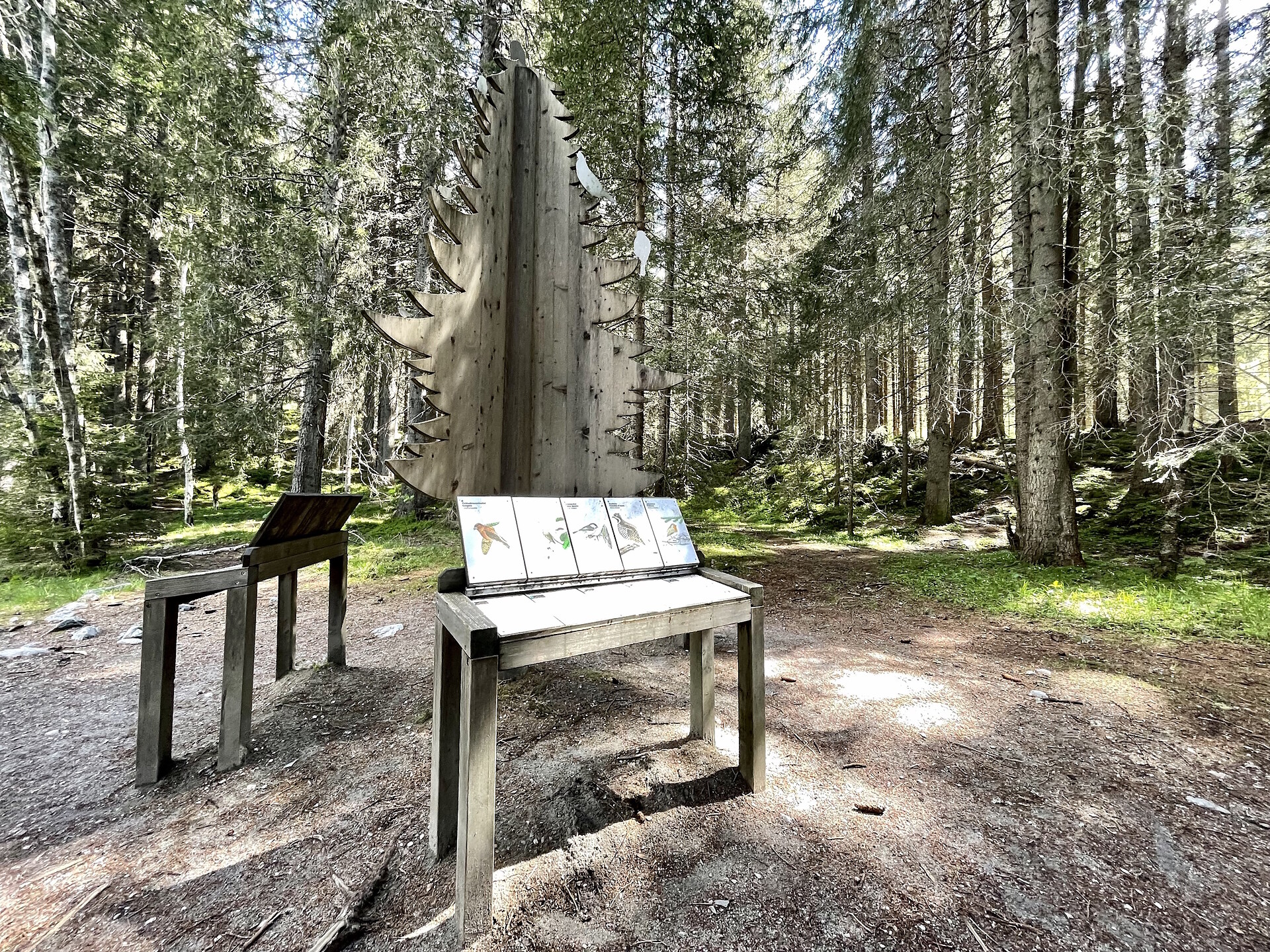 Lake Antholz circular trail - Dolomites Region Kronplatz/Plan de Corones - #11 - suedtirol.info