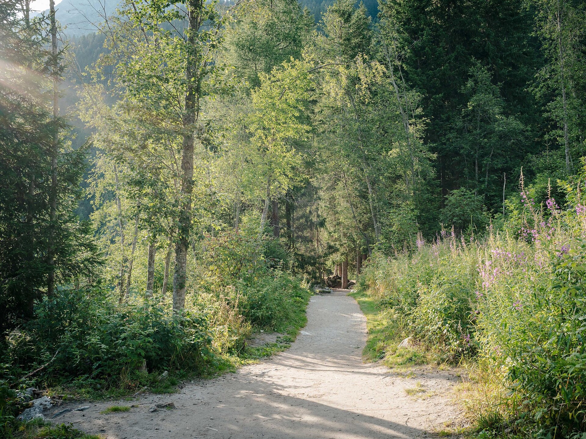 Lake Antholz circular trail - Dolomites Region Kronplatz/Plan de Corones - #12 - suedtirol.info