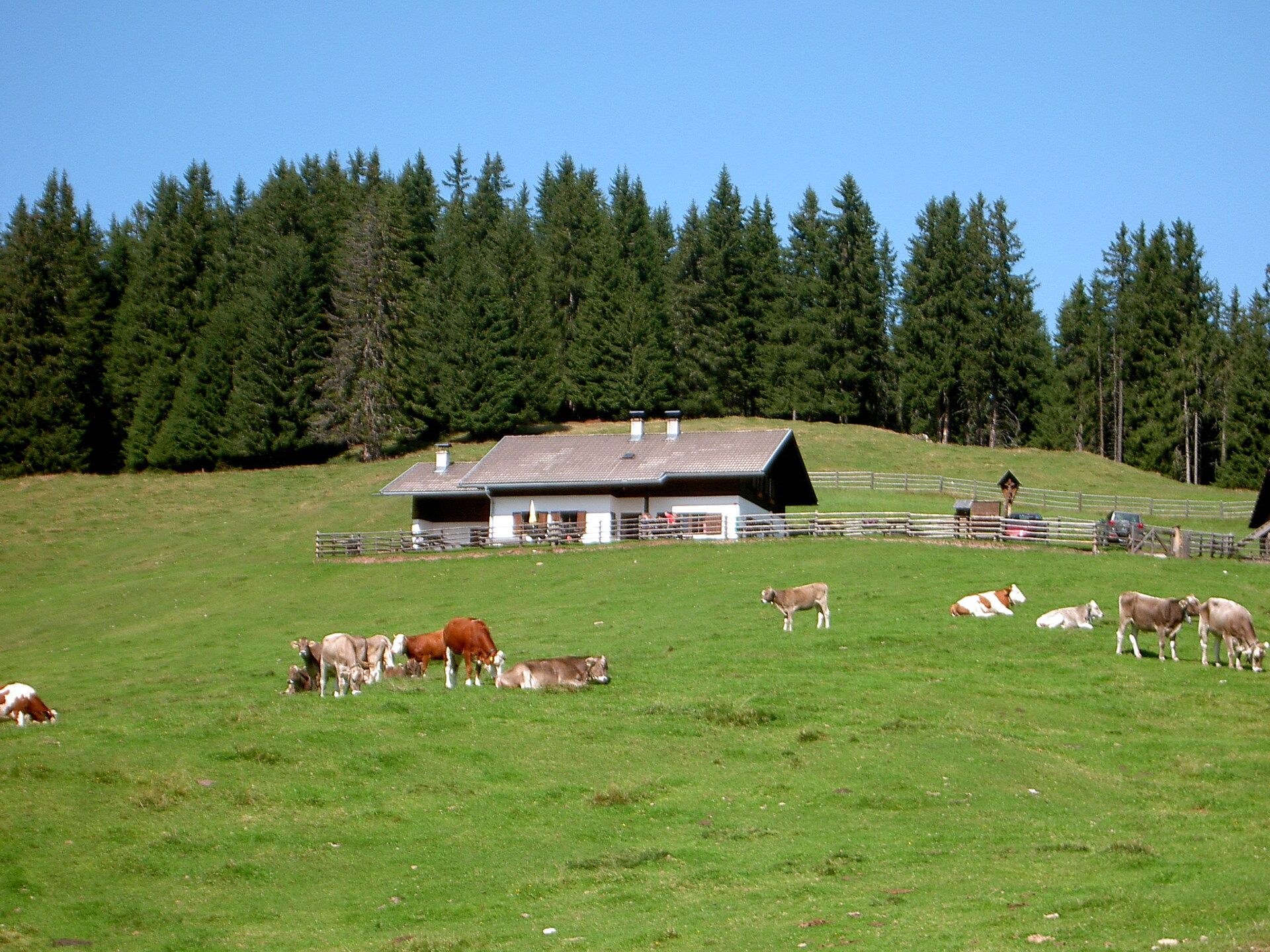 Lanzwiesen Alm