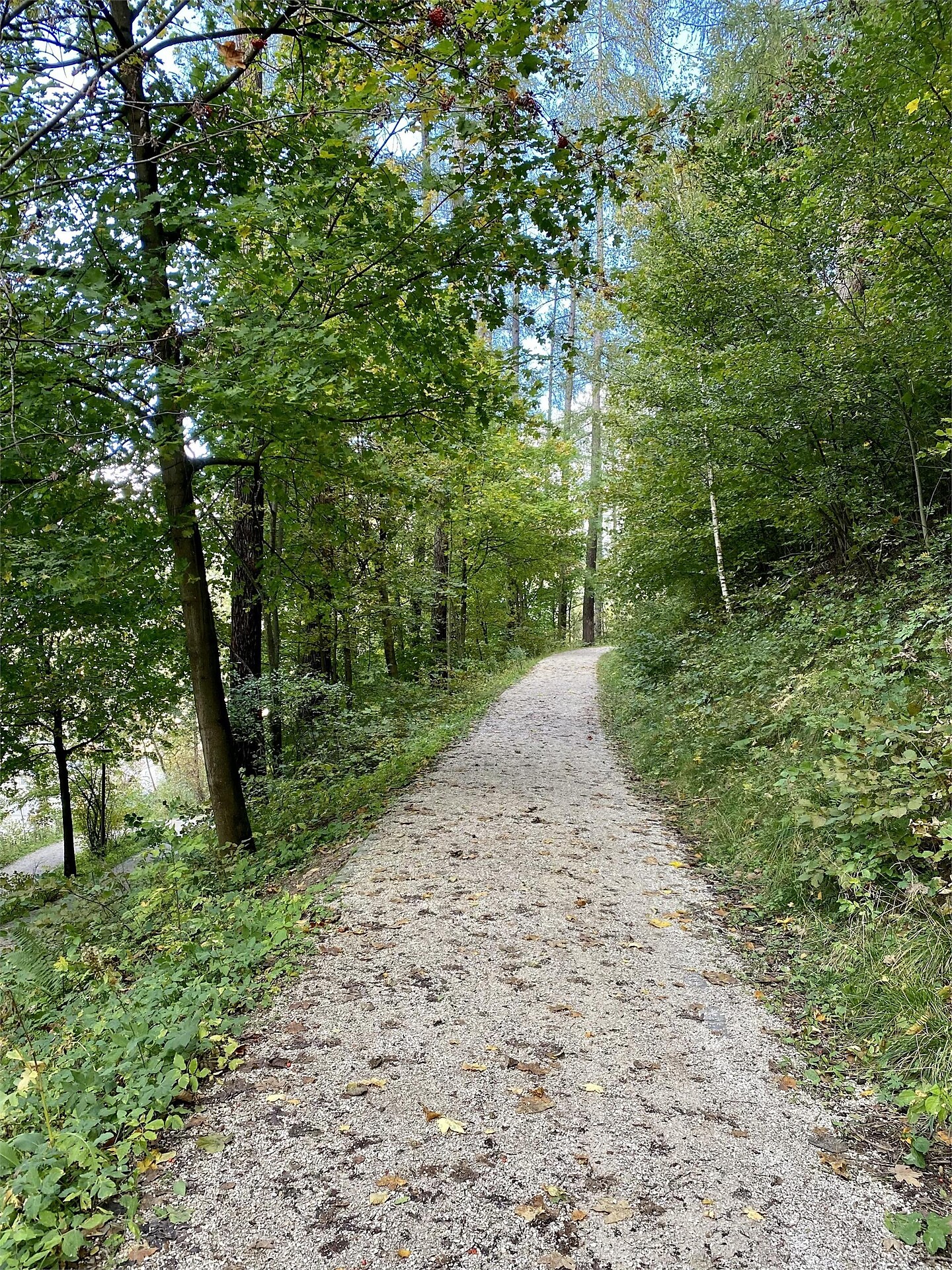 Running track Bruneck - Waldheim - Dolomites Region Kronplatz/Plan de Corones - #3 - suedtirol.info