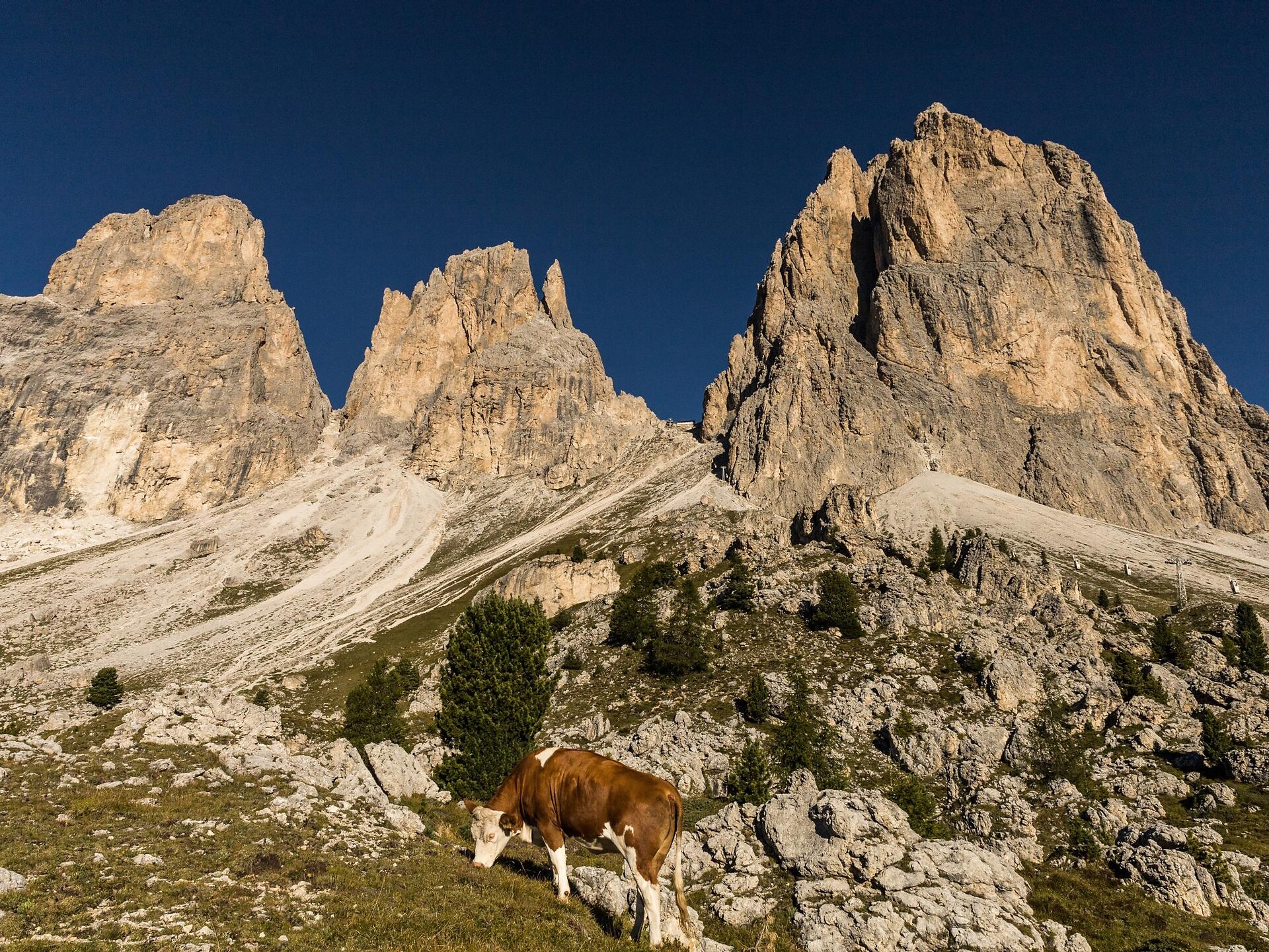 Sassolungo circuit - Dolomites Region Val Gardena - #10 - suedtirol.info