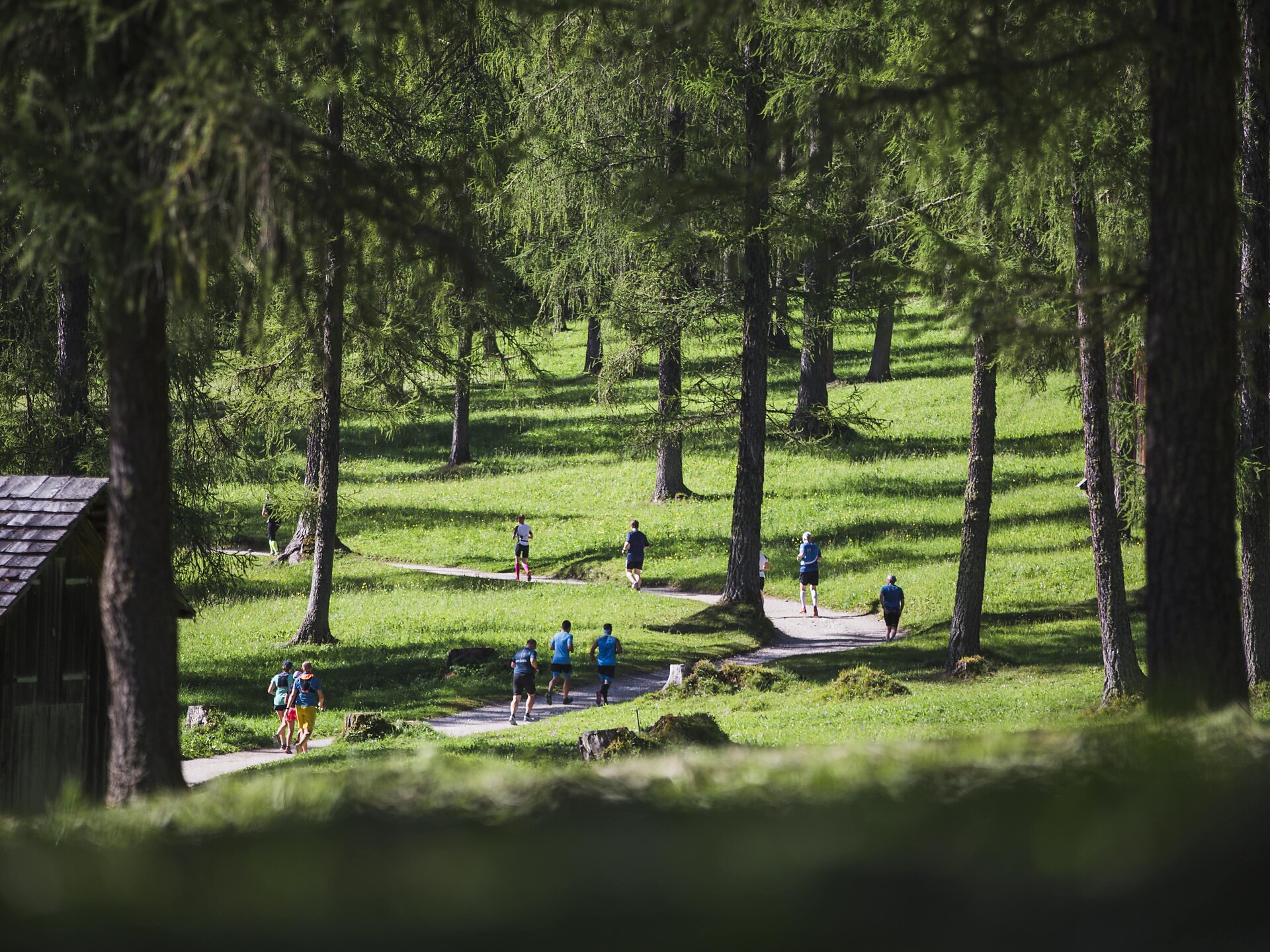 Trailrunning Val Fiscalina