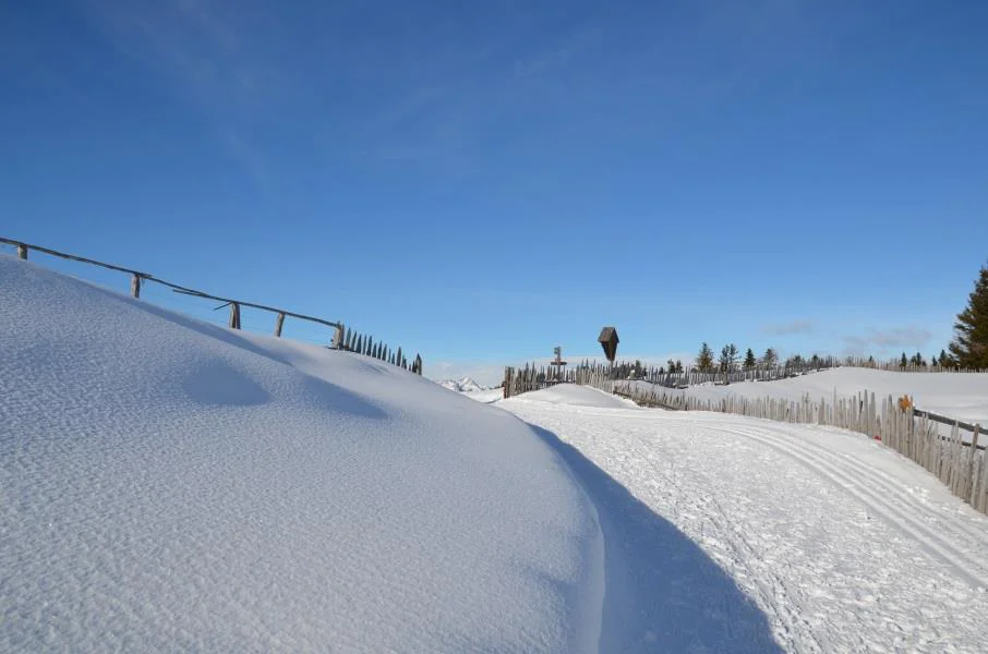 Skiing cross-country trail Rodenecker-Lüsner Alm Rodeneck/Rodengo 2 suedtirol.info