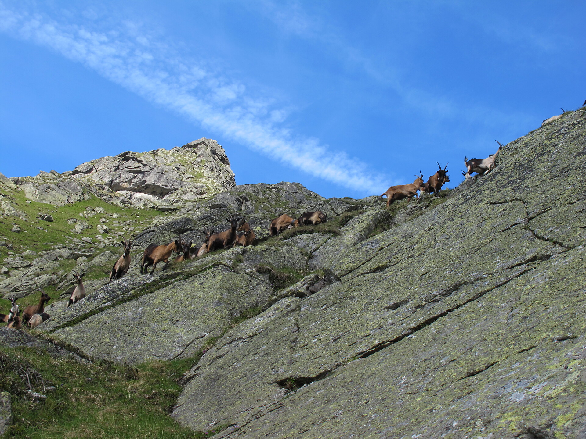 Dal rifugio Cima Fiammate al Sentiero Franz Huber