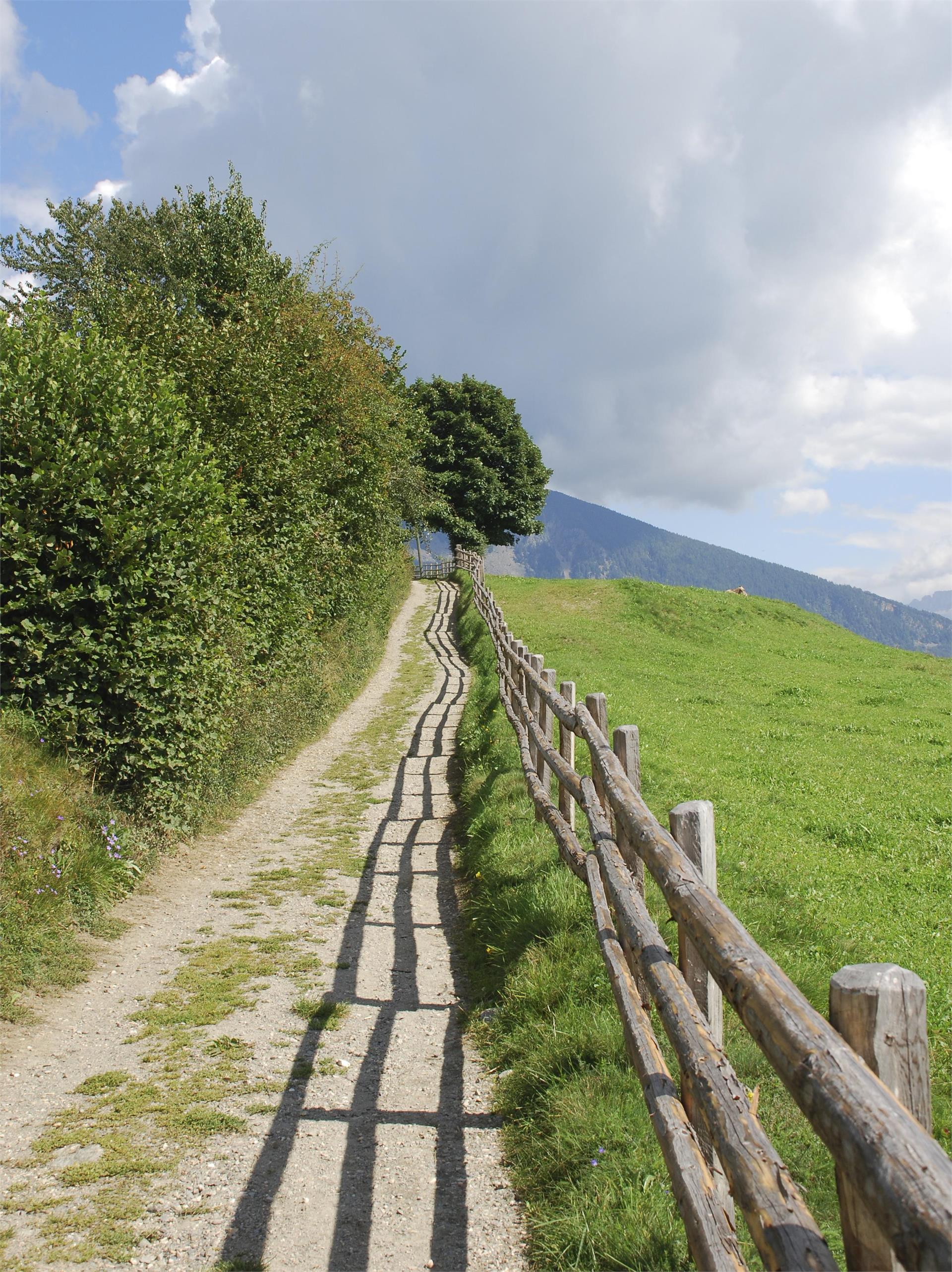 Lajen/Laion-Noflatsch-Troi Paian-Costamula Lajen/Laion 2 suedtirol.info
