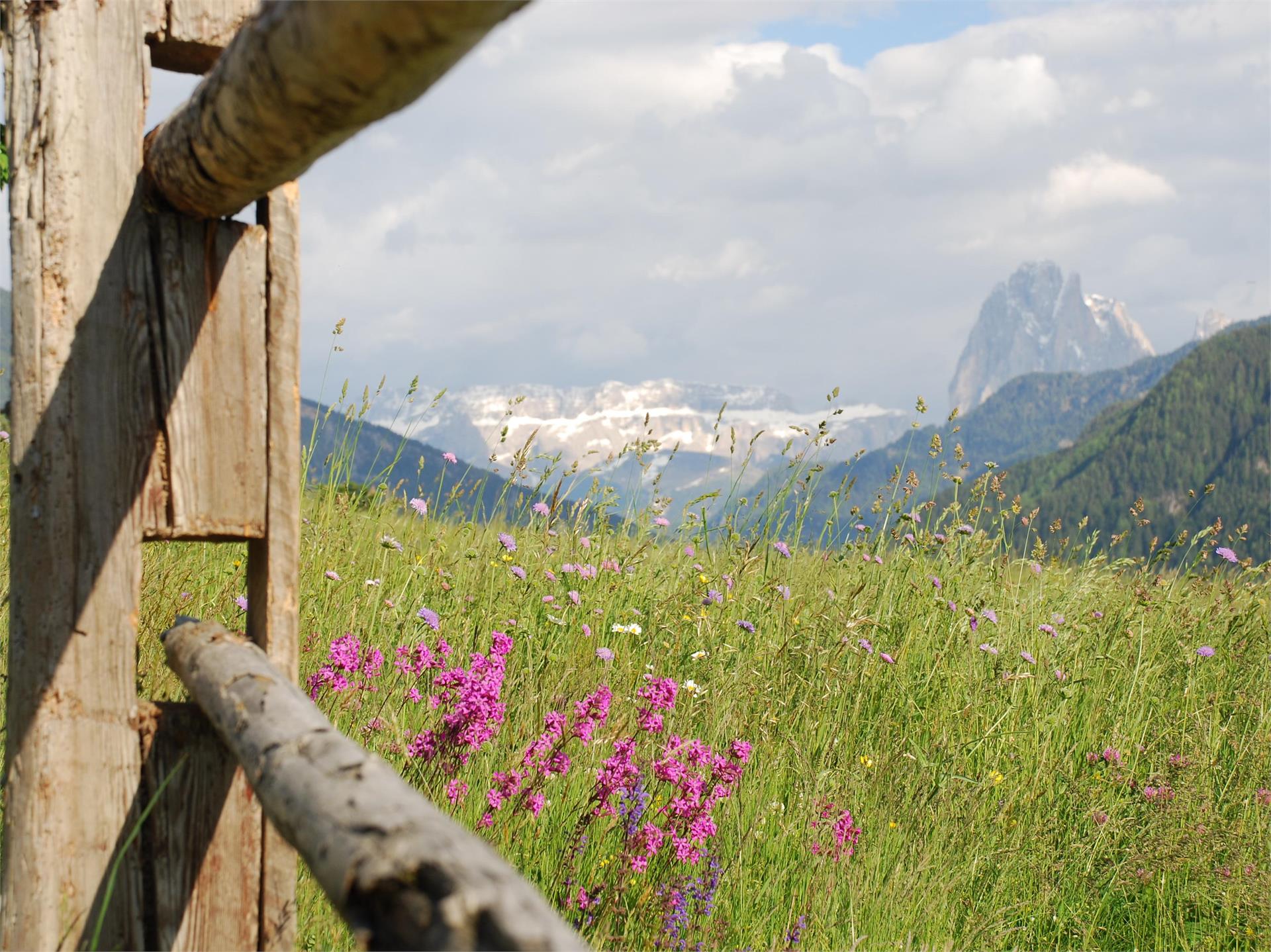 Lajen/Laion-Noflatsch-Troi Paian-Costamula Lajen/Laion 1 suedtirol.info