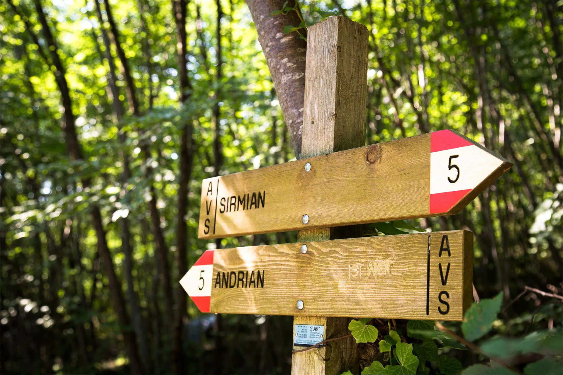 Easy excursion to the bittner farm Andrian/Andriano 1 suedtirol.info