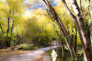 Anfang Wanderweg Nr. 5