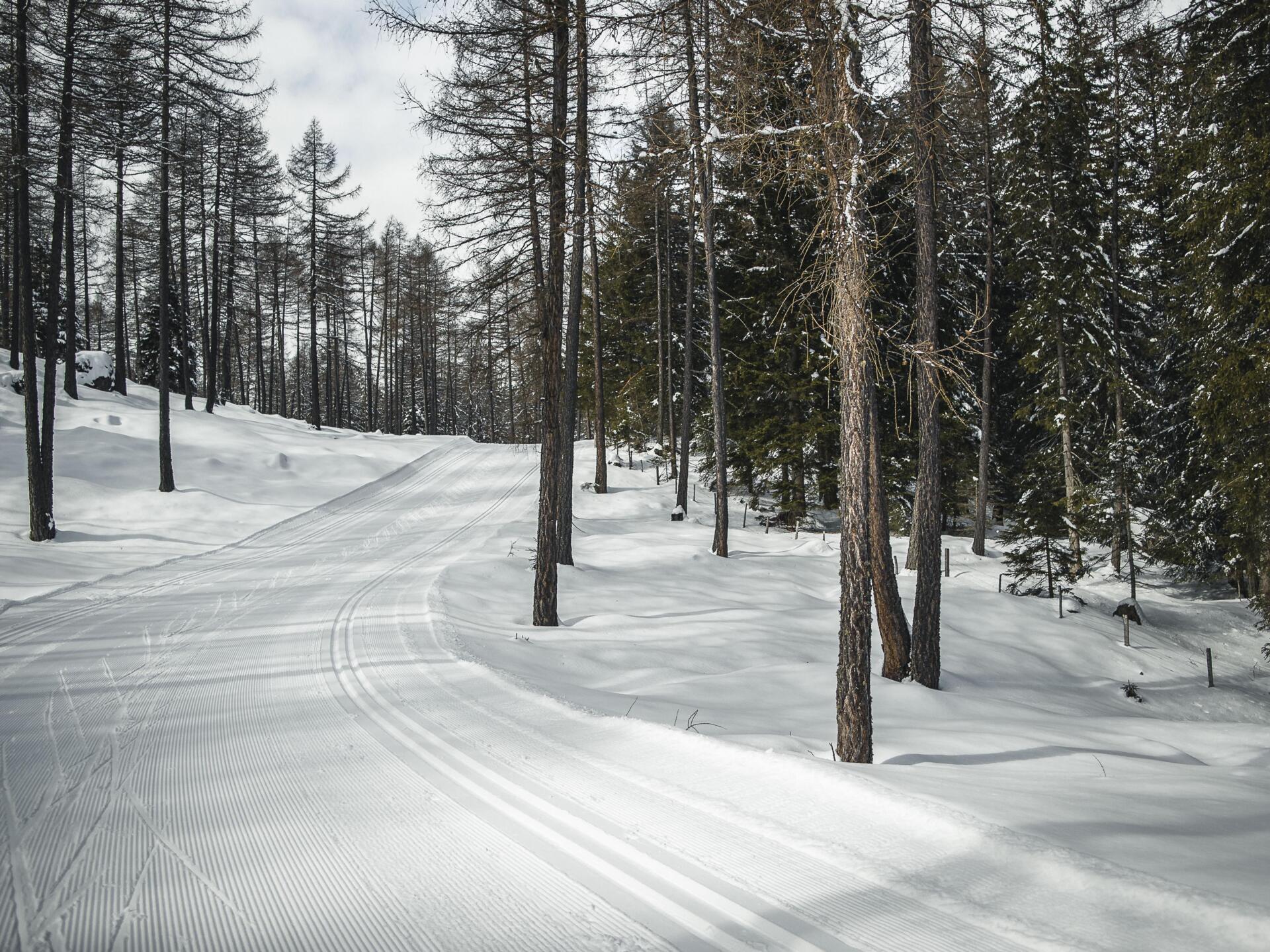 Pista da fondo Avelengo/Falzeben Avelengo 2 suedtirol.info