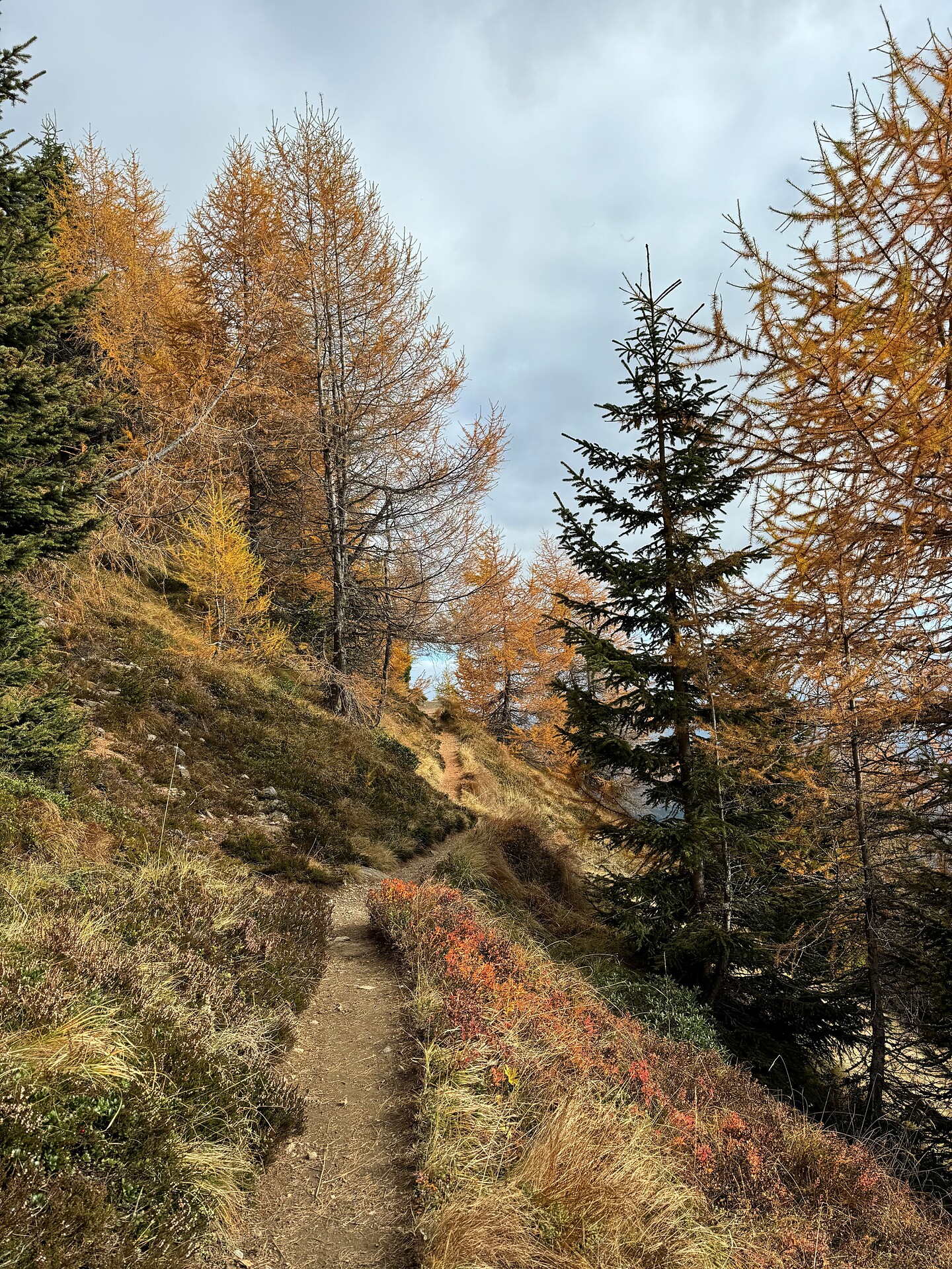 Leitensteig trail: From Meransen to Vals - Brixen/Bressanone and environs - #1 - suedtirol.info
