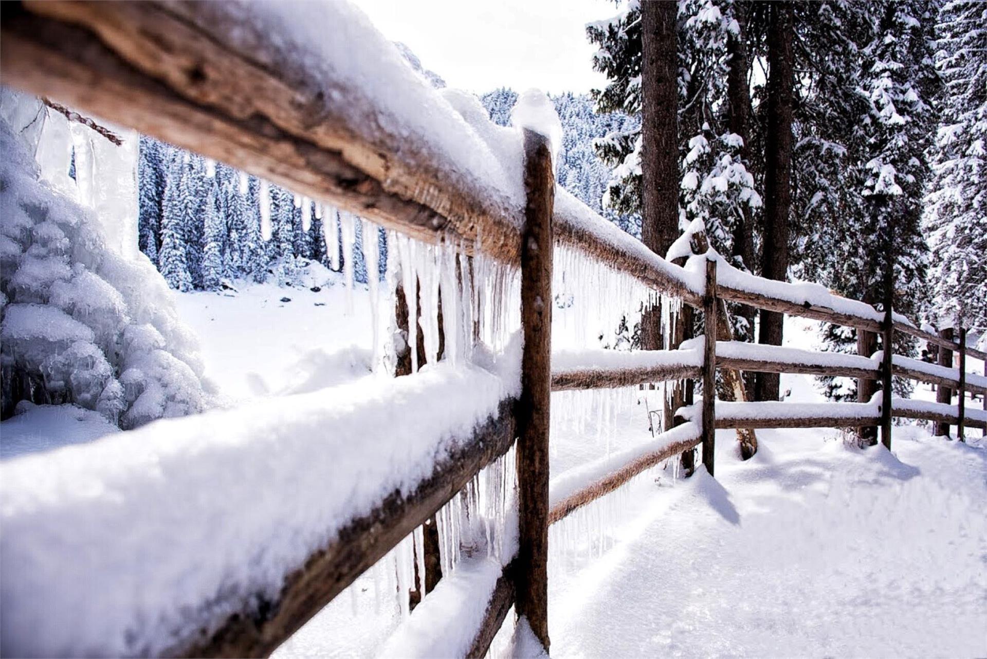 Long winter circular hike at Lake Carezza Welschnofen/Nova Levante 3 suedtirol.info