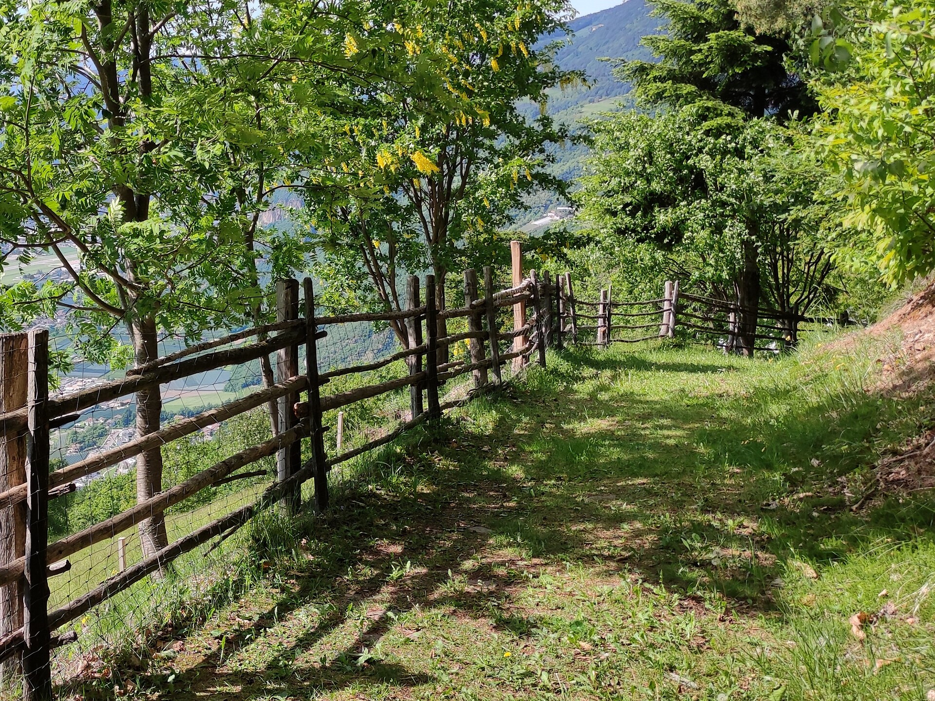 Shortened high altitude trail Laives - Bolzano/Bozen and environs - #3 - suedtirol.info