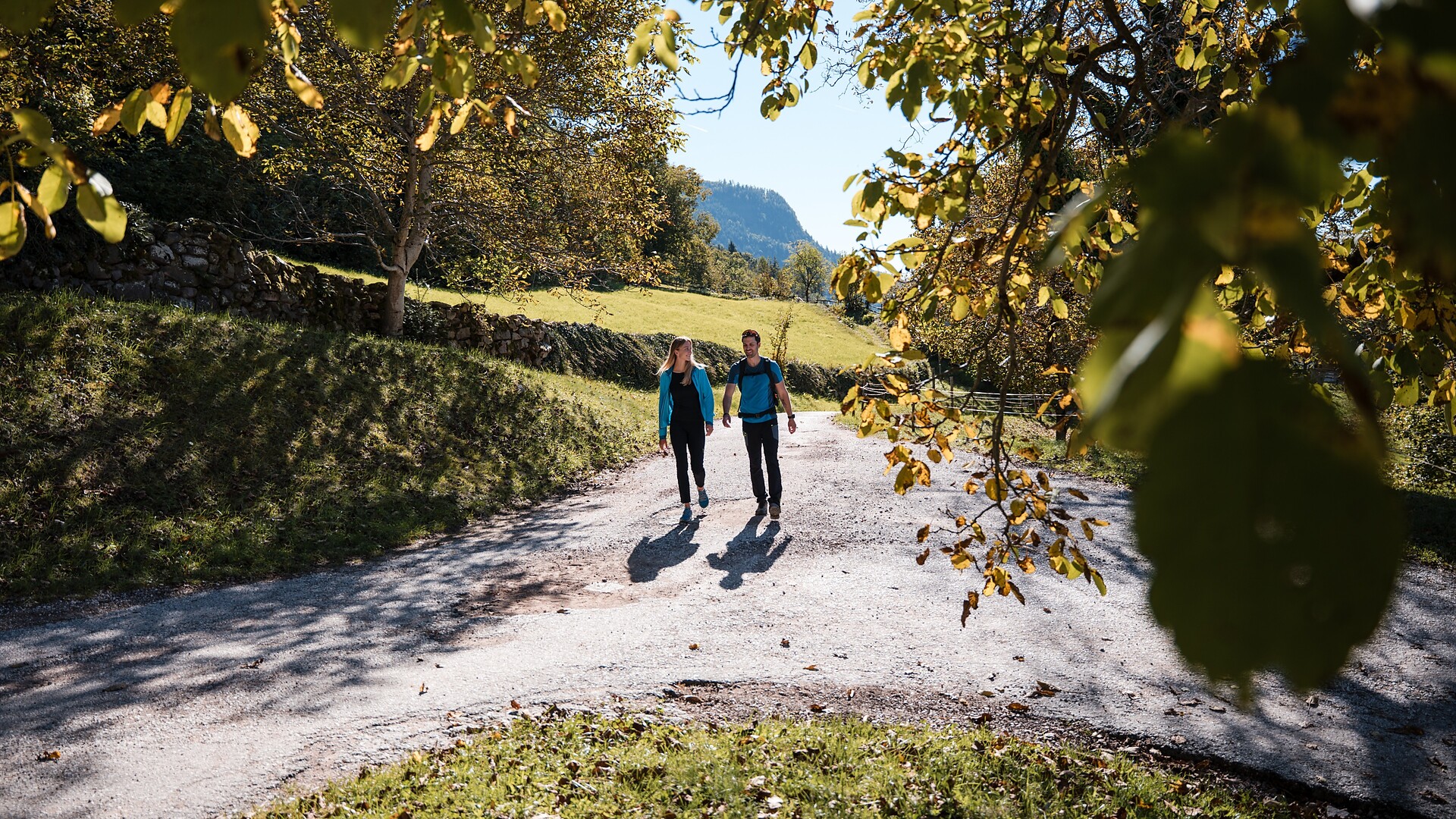 Leiferer Höhenweg - verkürzt - Bozen und Umgebung - #2 - suedtirol.info