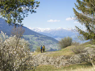Lajen - Albions - Klausen - Klausen - #4 - suedtirol.info