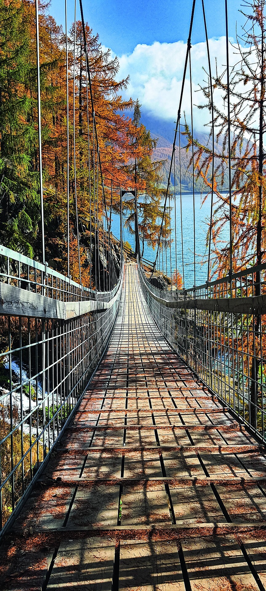 Larch show, lake view and cinema flair - Vinschgau/Val Venosta - #1 - suedtirol.info
