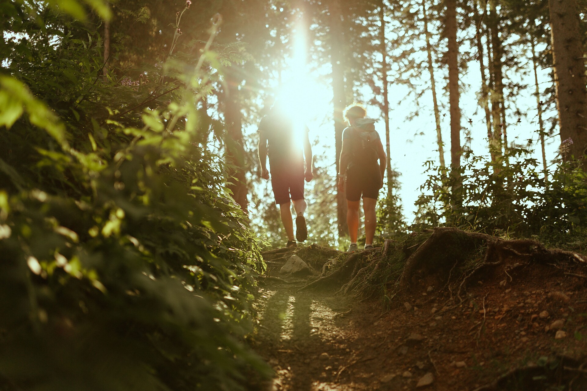 Wanderweg