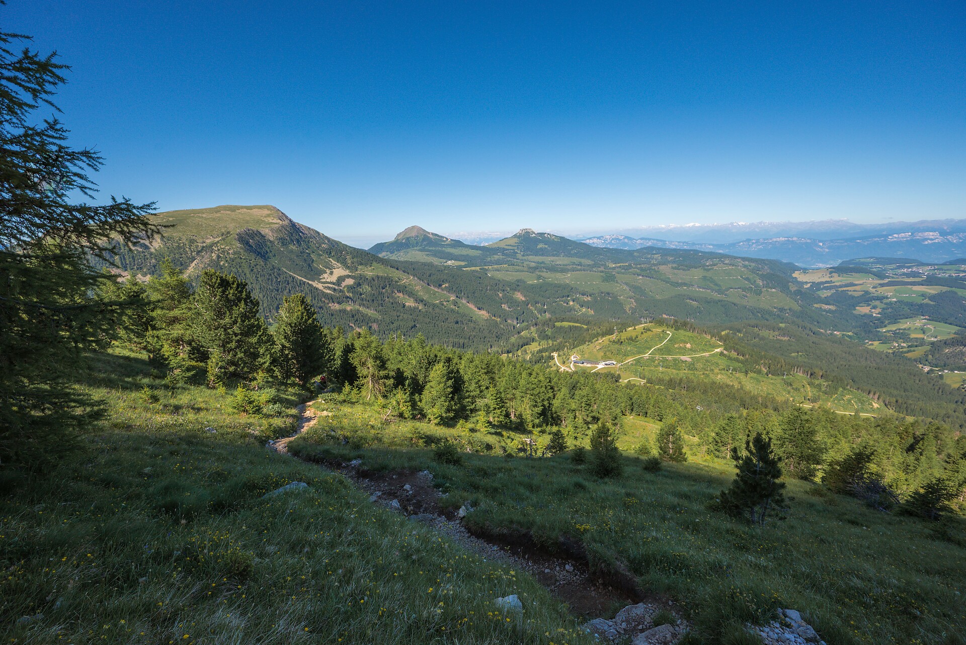 Latemar.natura