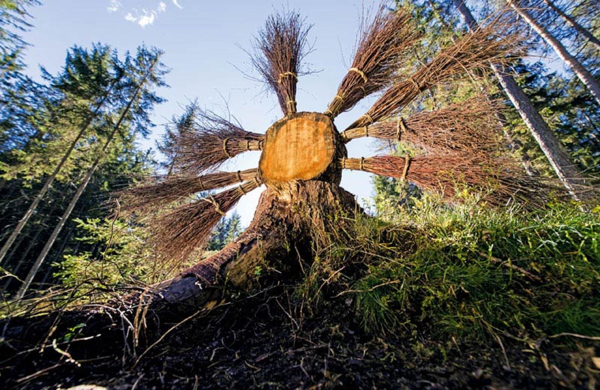 LandArt trail Pfalzen/Falzes 1 suedtirol.info