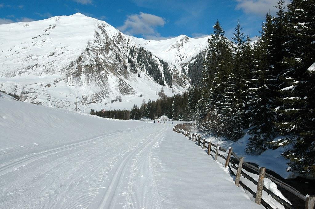 Langlaufloipe Pensertal Sarntal 6 suedtirol.info