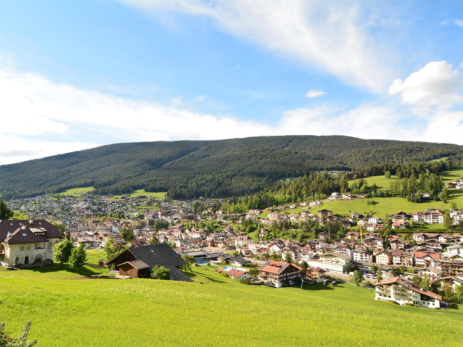 Laufen am Waldrand St.Ulrich 1 suedtirol.info