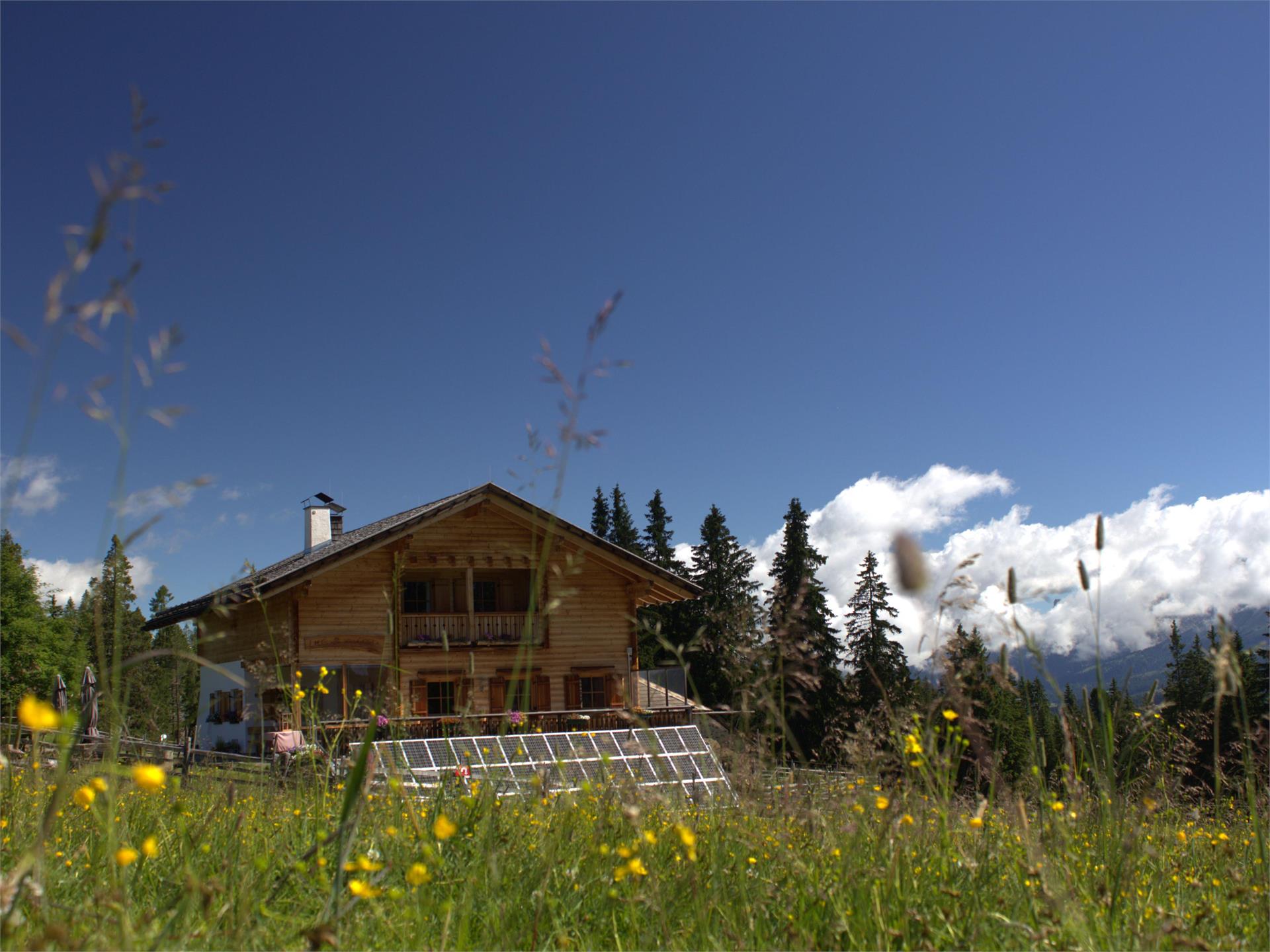 Lavazé - Malga Costa Nova Ponente 3 suedtirol.info