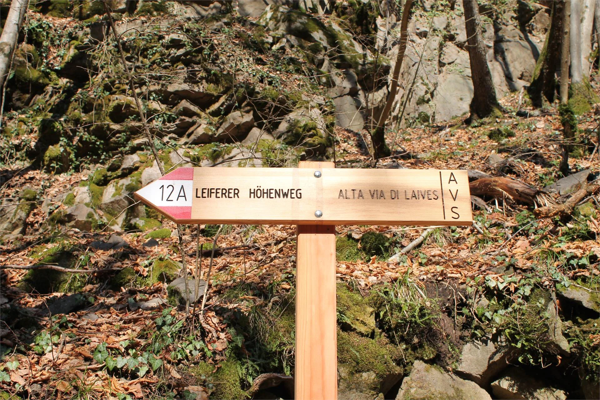 The high altitude trail of Laives/Leifers Laives/Leifers 3 suedtirol.info