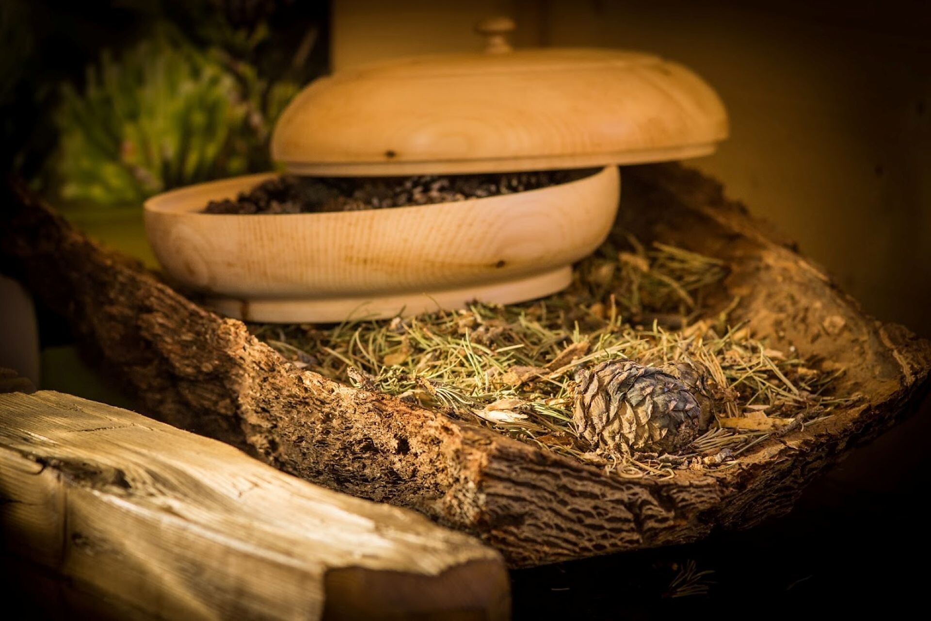 trail "mountain pine" - Brixen/Bressanone and environs - #3 - suedtirol.info