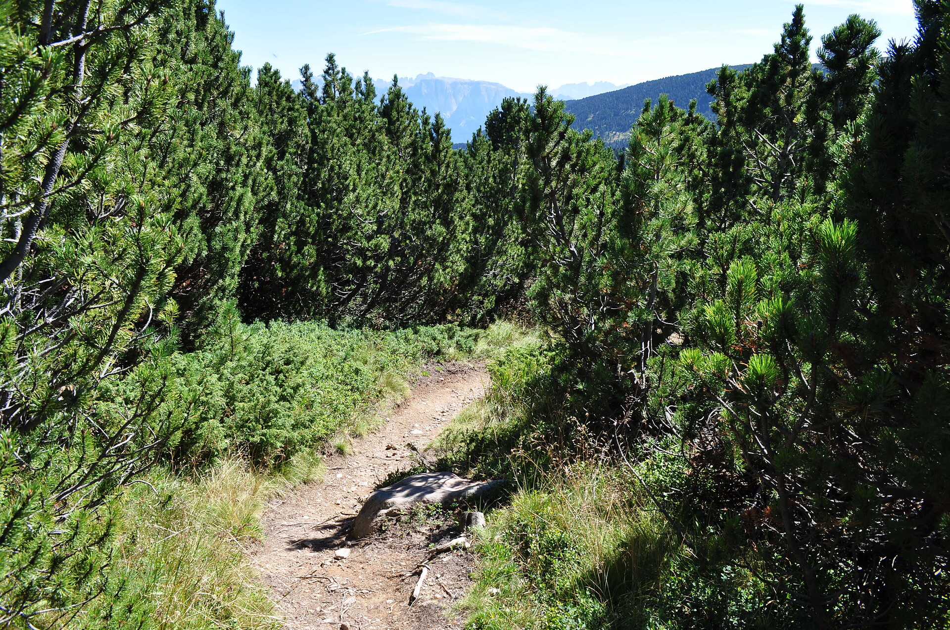 walking trail