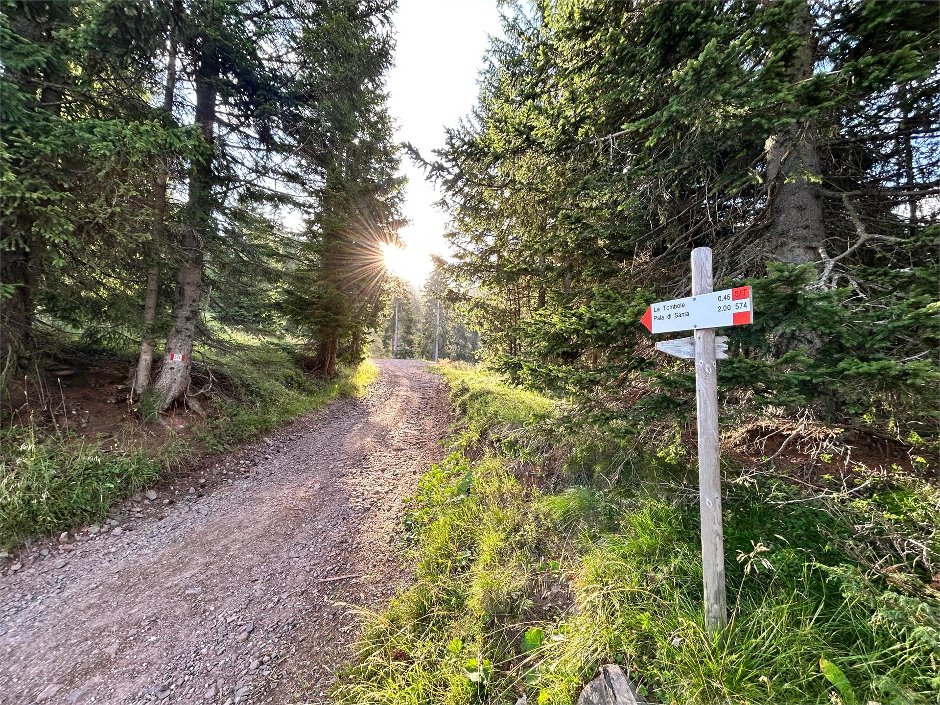 Lavazè - Pala di Santa Deutschnofen/Nova Ponente 4 suedtirol.info