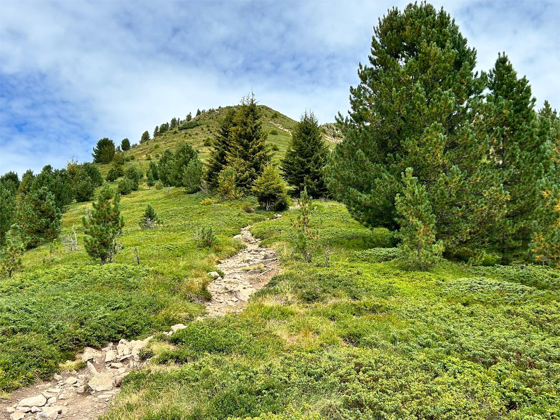 Lavazè - Pala di Santa Deutschnofen/Nova Ponente 1 suedtirol.info