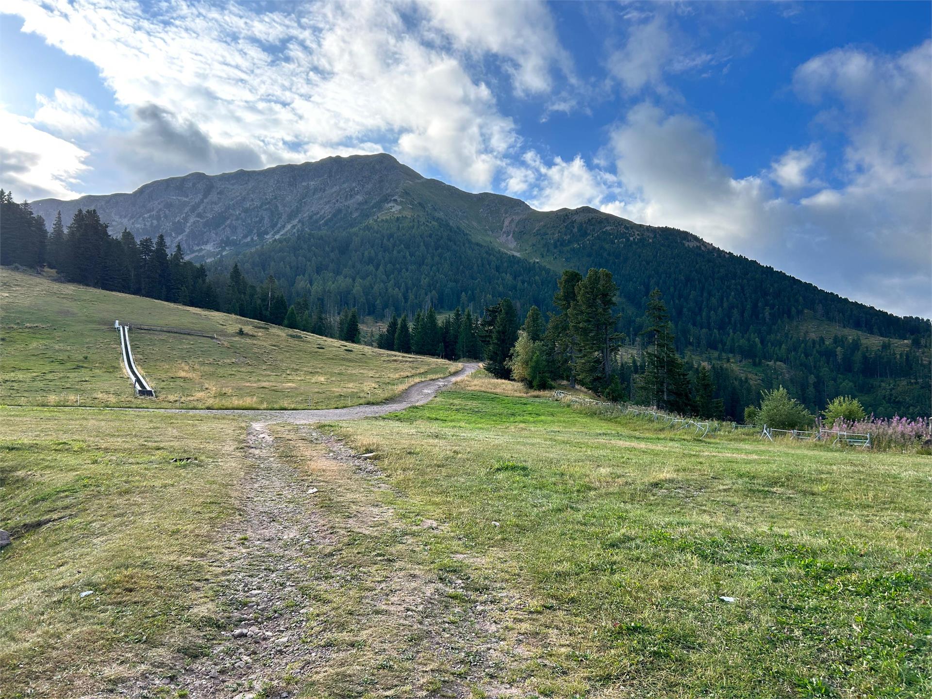 Lavazè - Pala di Santa Deutschnofen/Nova Ponente 3 suedtirol.info