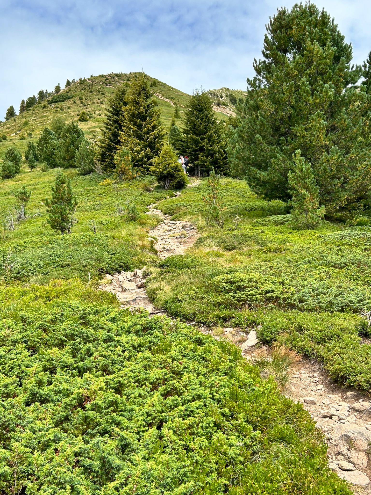Lavazè - Pala di Santa Deutschnofen/Nova Ponente 7 suedtirol.info