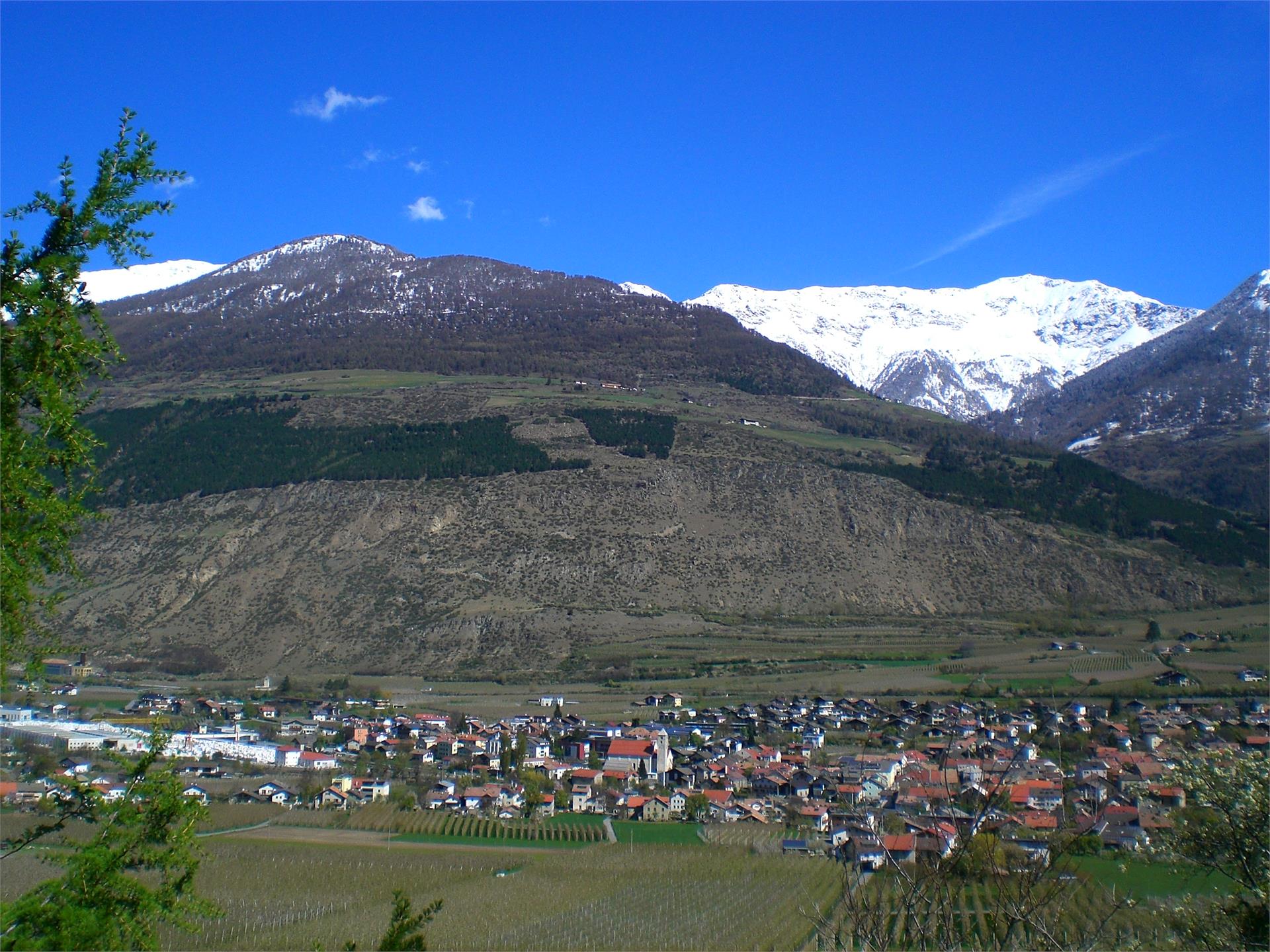 Monte Sole mountain Laas Laas/Lasa 2 suedtirol.info