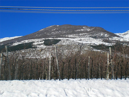 Monte Sole di Lasa Lasa 1 suedtirol.info