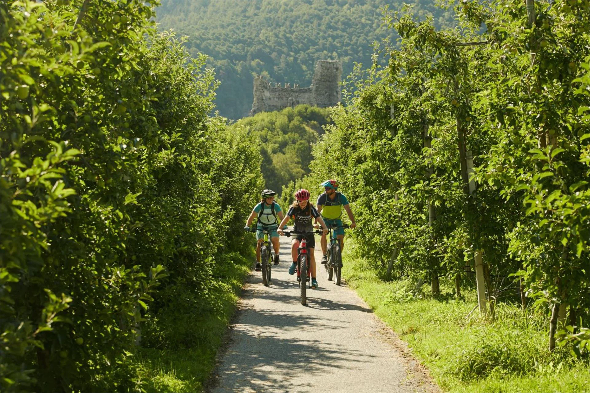 Giro di Laces Laces 1 suedtirol.info