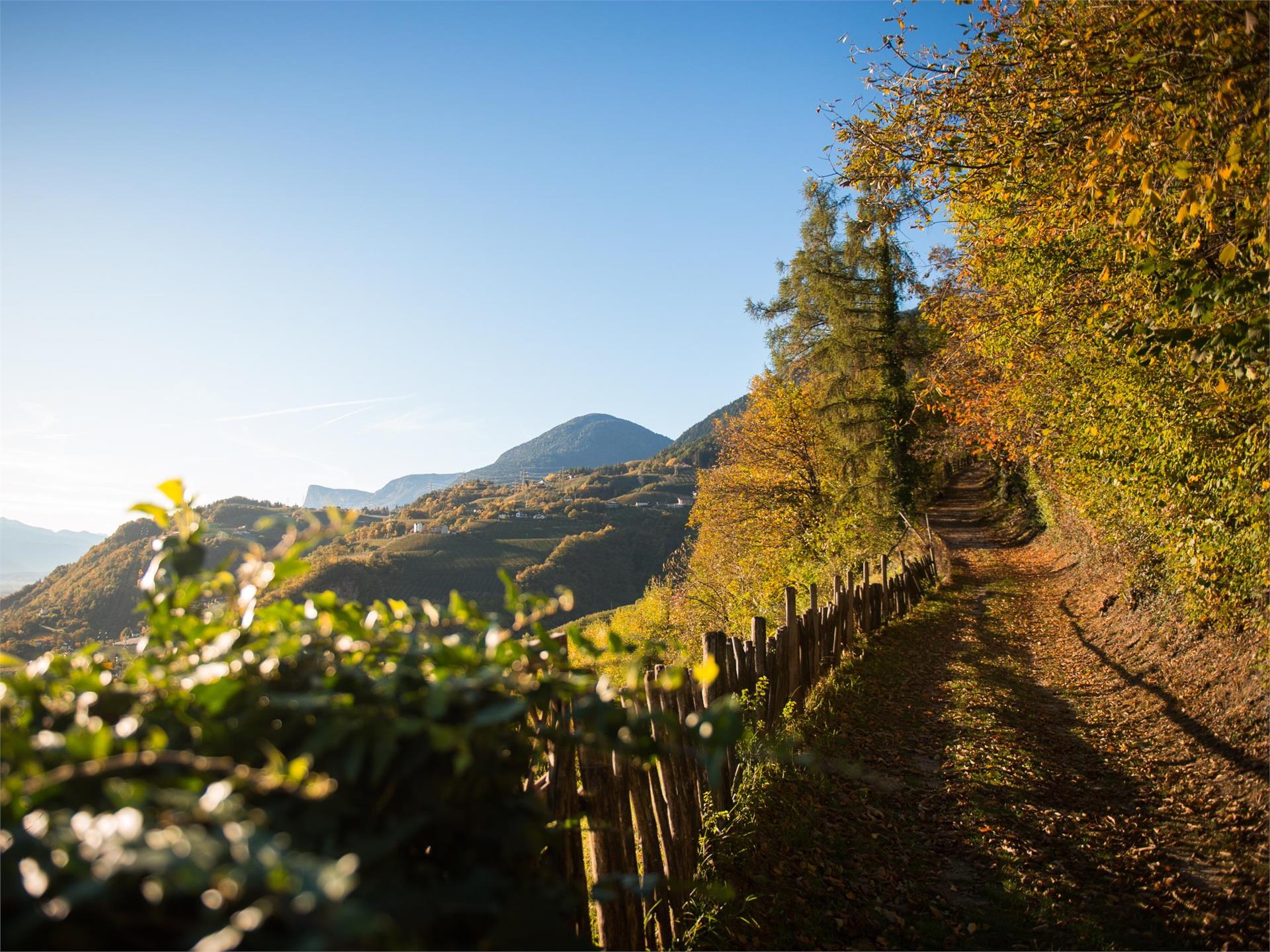 Lana Percorso didattico culturale e naturalistico Aichberg Cermes 3 suedtirol.info