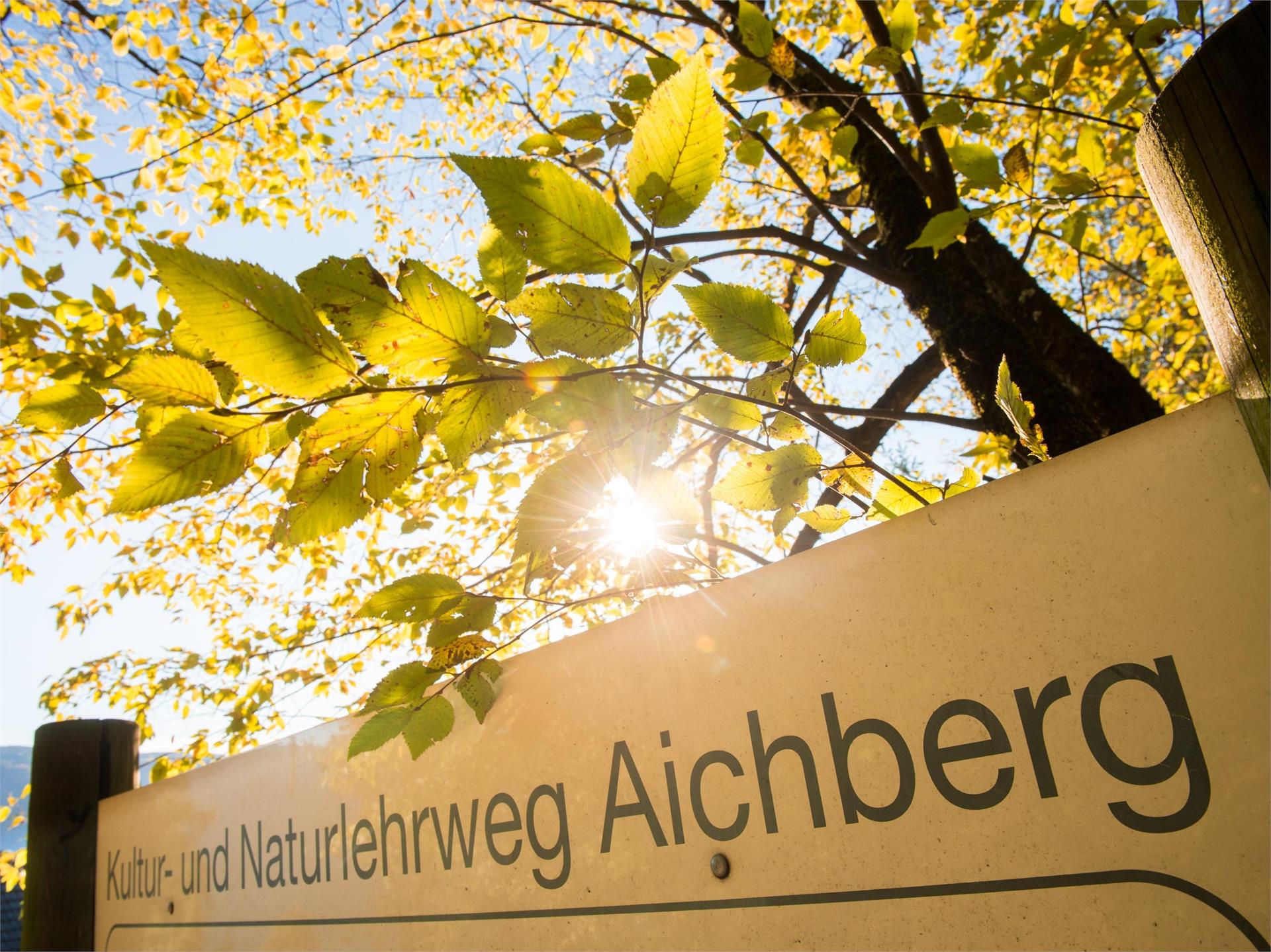Lana Percorso didattico culturale e naturalistico Aichberg Cermes 1 suedtirol.info