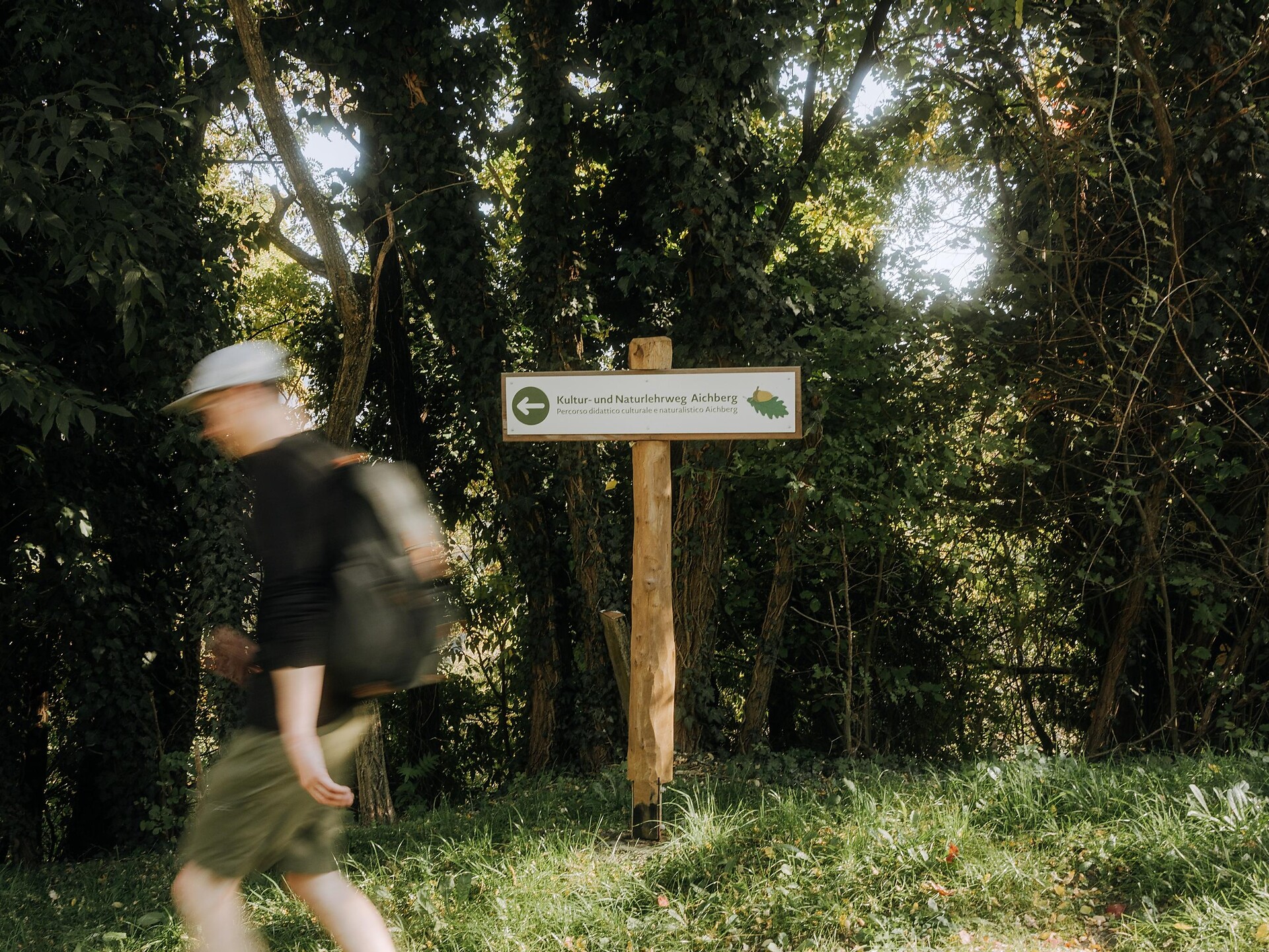 Lana Aichbergweg - Meran/Merano and environs - #2 - suedtirol.info