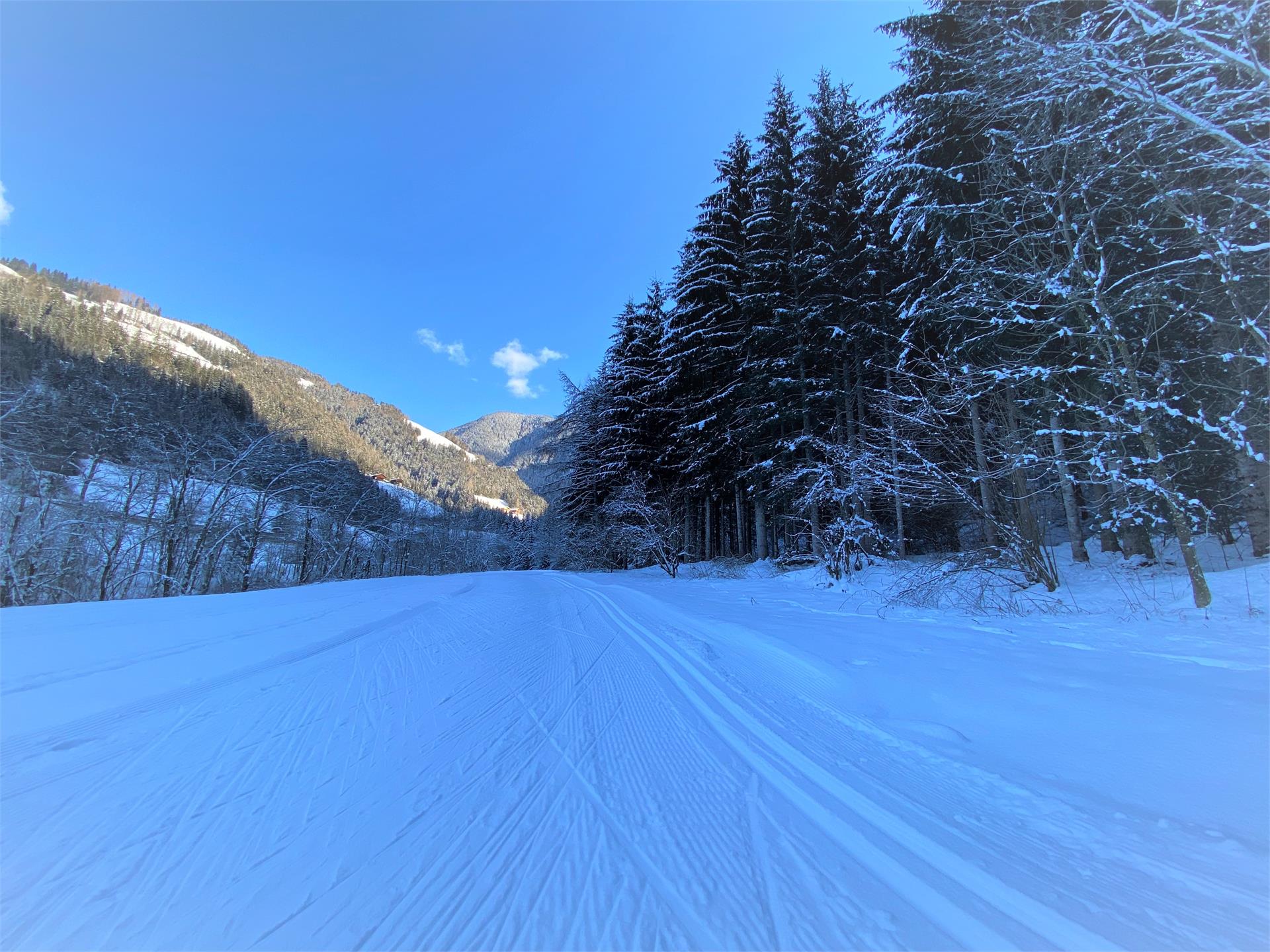 Loipe Sportzone Petschied Lüsen 2 suedtirol.info