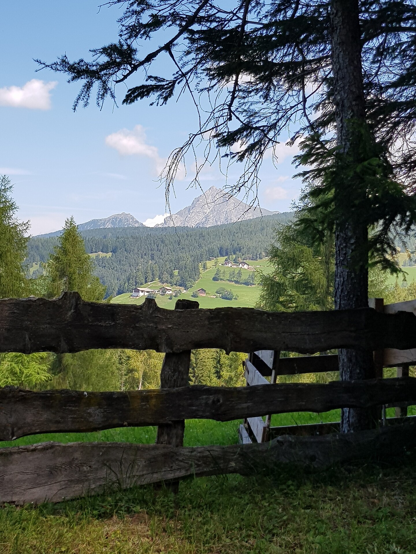 Landscape