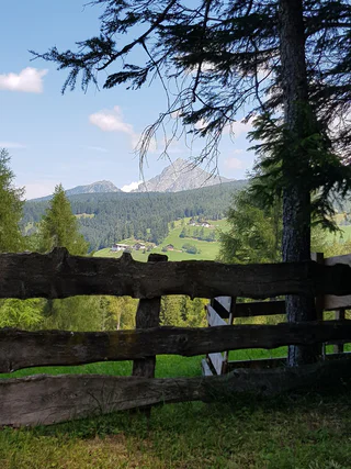 Landschaft