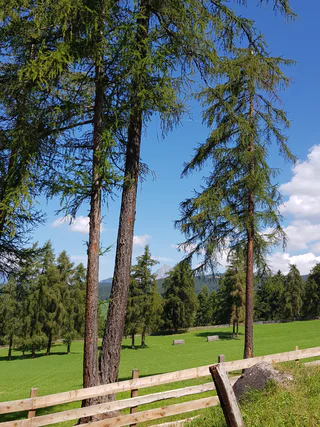 Landschaft