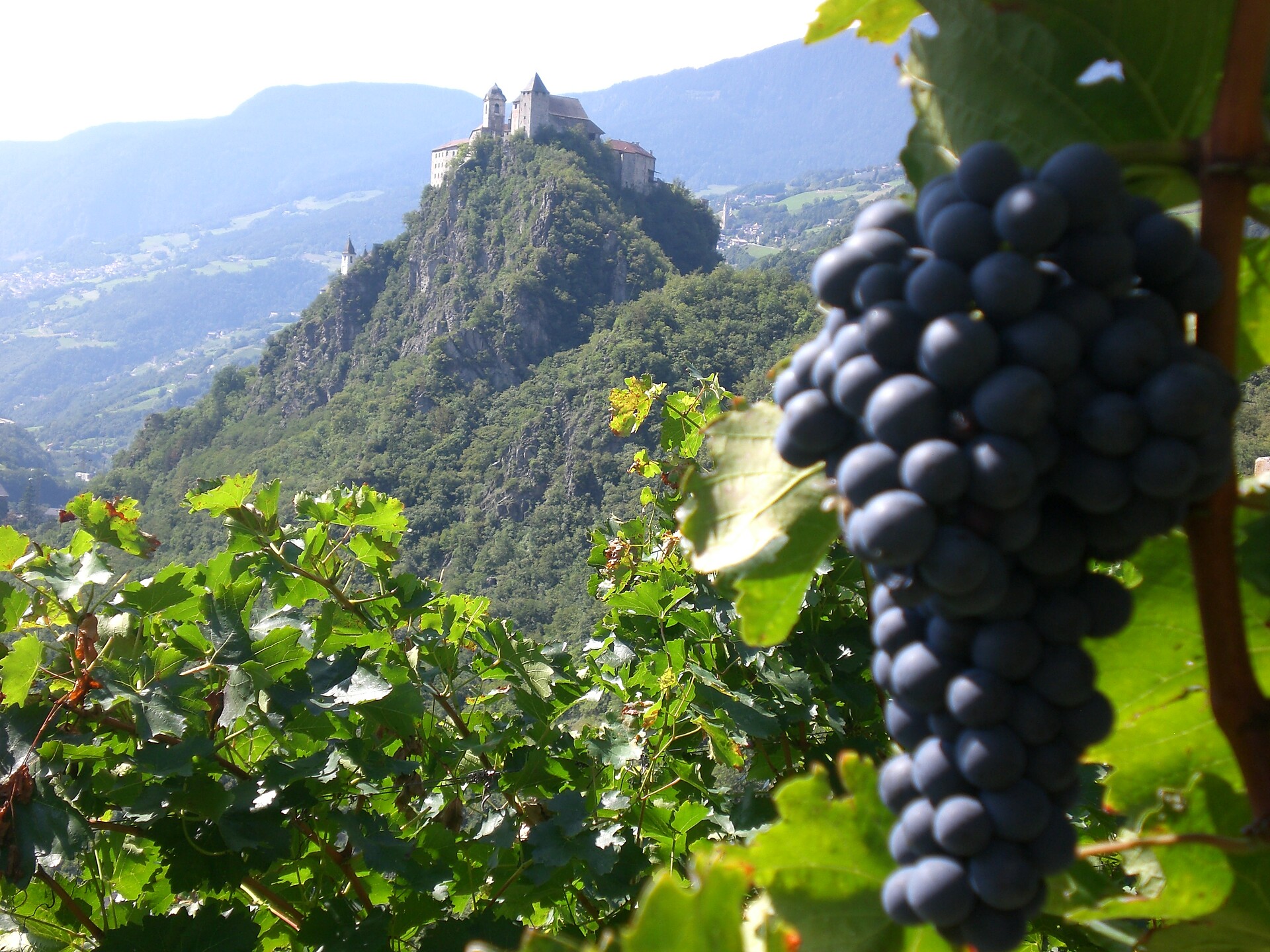 Vino e Sabiona